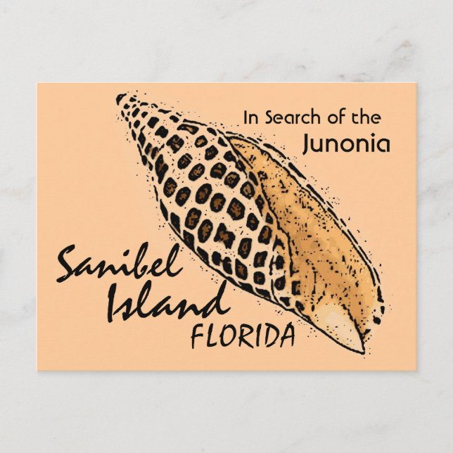 Postal de Junonia shell Sanibel Island humorístico (Anverso)