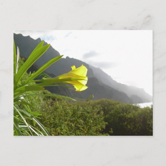 postal de Kauai (Anverso)