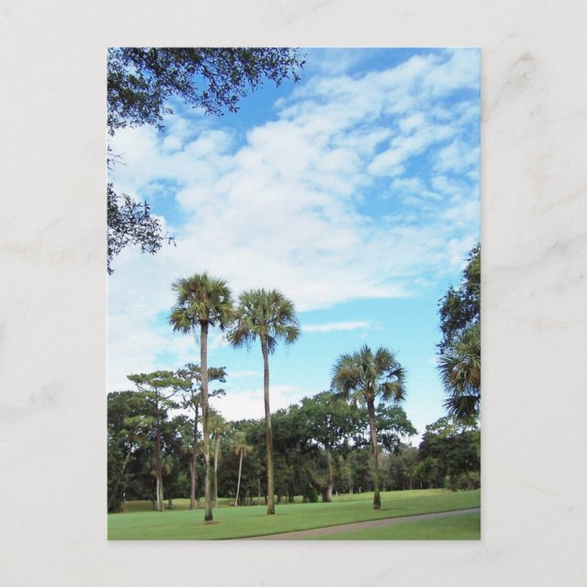 Postal de Kiawah Island (Anverso)