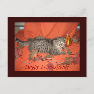 Postal de la acción de gracias