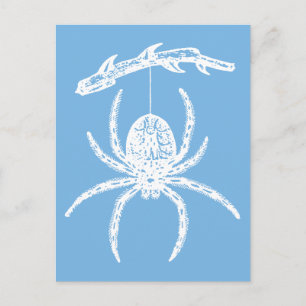 Postal de la araña azul de Dainty