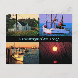 Postal de la bahía de Chesapeake