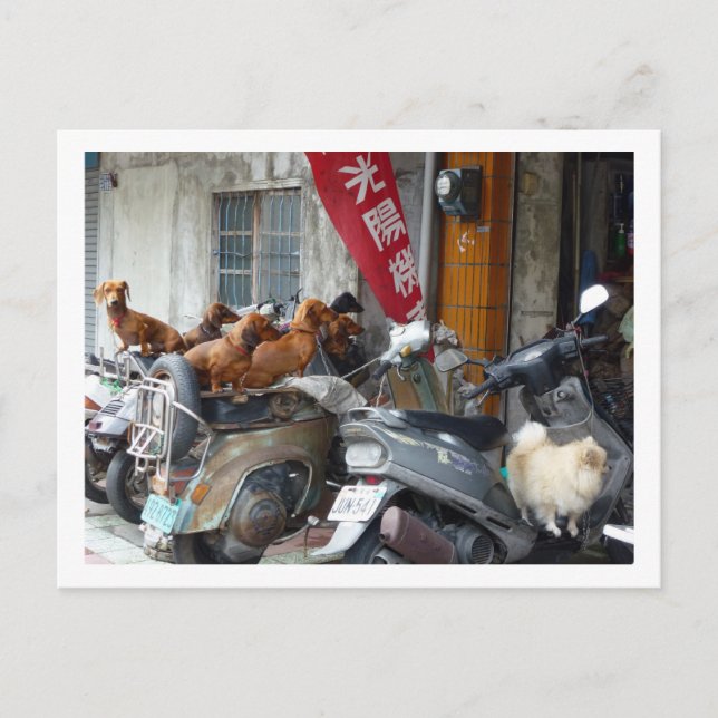 Postal de la Banda de Doxies (Anverso)