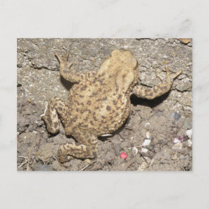 Postal de la barra de herramientas de rastreo suav
