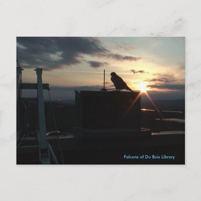 Postal de la Biblioteca Du Bois (Anverso)