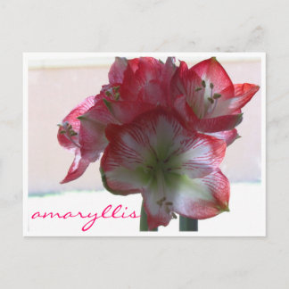 postal de la bombilla de flores amarillis