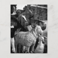 Postal de La Campagne à Paris rue Daguerre Sheep