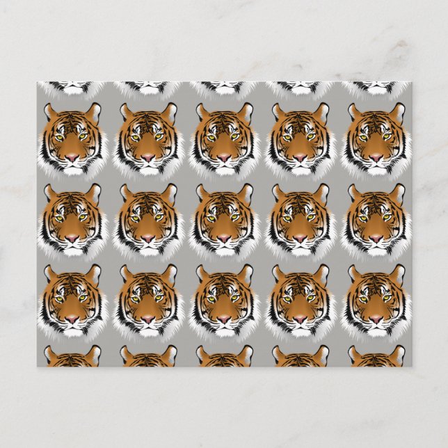 postal de la cara del tigre (Anverso)