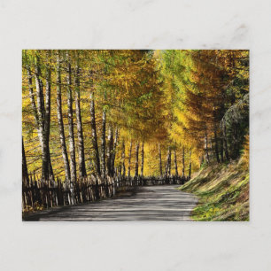 postal de la carretera de otoño