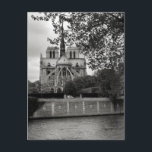 Postal de la catedral de Notre Dame<br><div class="desc">Postal</div>