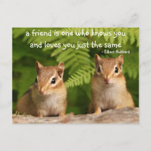 Postal de la cita de amistad de Chipmunk para bebé
