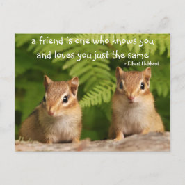 Postal de la cita de amistad de Chipmunk para bebé