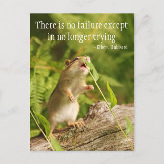 Postal de la cita de Baby Chipmunk Try