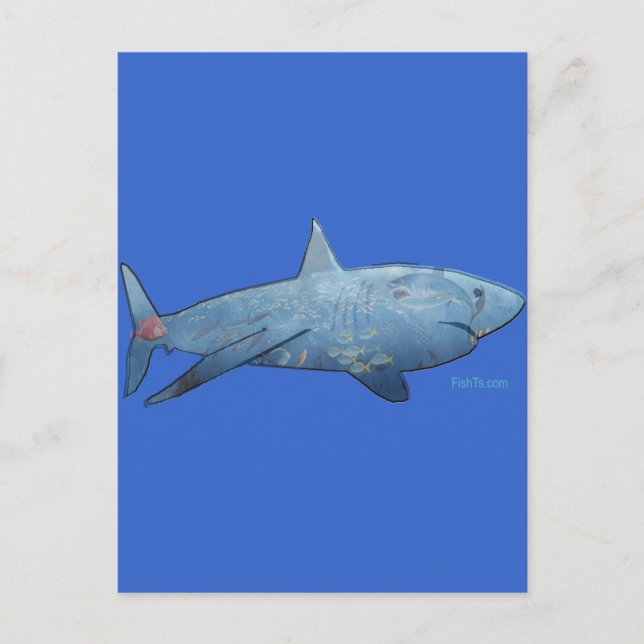 Postal De la colección de tiburones (Anverso)
