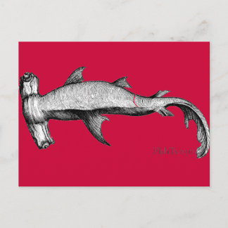 Postal De la colección de tiburones