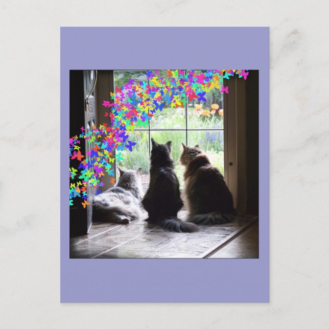 Postal de la condolencia del gato del puente del (Anverso)