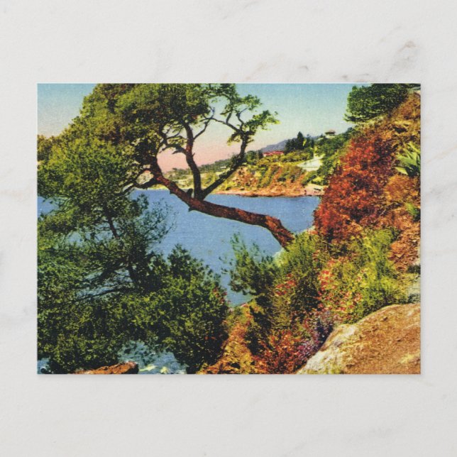 Postal de la cosecha de replica, Toulon, Cap Brun (Anverso)