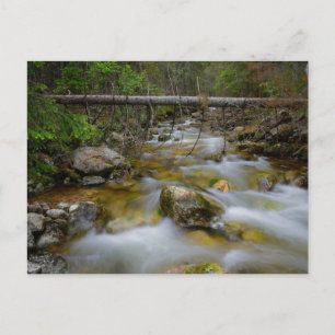 Postal de la cresta de los bosques rocosos