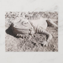 Postal de la escultura de la arena de la iguana