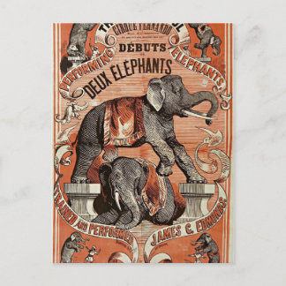 postal de la exposición de elefantes de circo vint