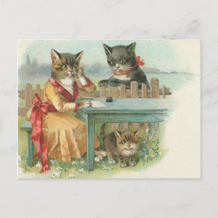 postal de la familia del gato