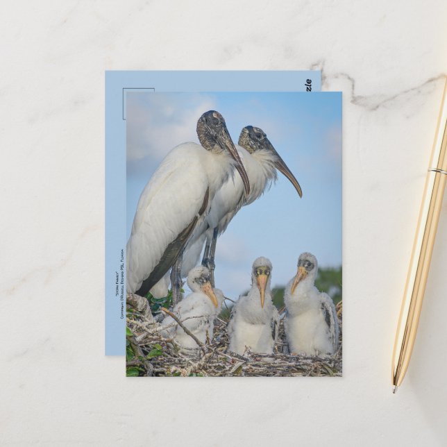 Postal de la familia Stork (Anverso/Reverso In Situ)