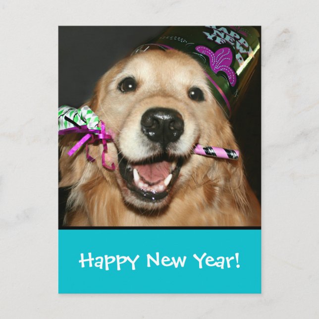Postal de la Feliz Año Nuevo del golden retriever (Anverso)