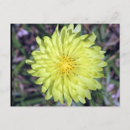 Postal de la flor amarilla de la cabeza del león