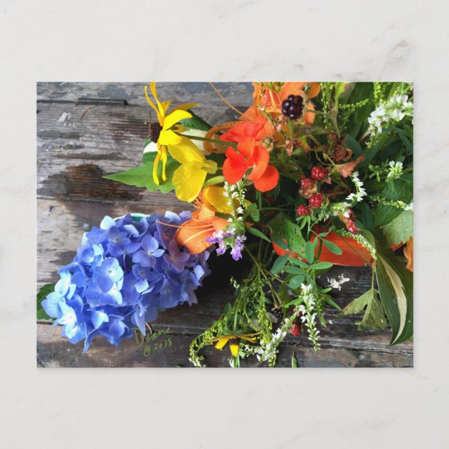 postal de la flor de VERANO FARMphemera.com (Anverso)