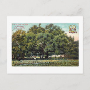 Postal de la Florida del Tratado de la Vintage