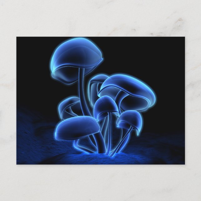 Postal de la fluorescencia (Anverso)