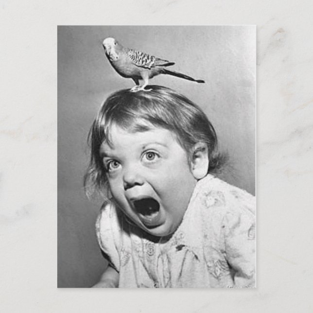 Postal de la foto del vintage (Anverso)