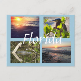 Postal de la fotografía de la Florida