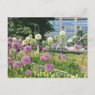 Postal de la fuente de la fuente del círculo de la