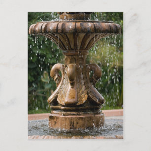 Postal de la fuente de Swan