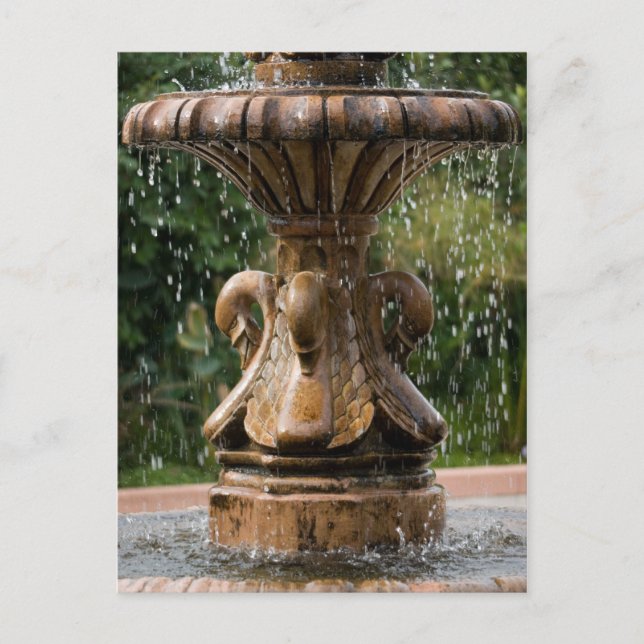 Postal de la fuente de Swan (Anverso)