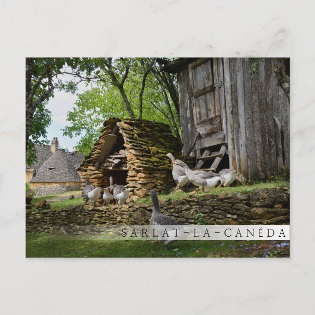 Postal de la granja tradicional de foie gras (Anverso)