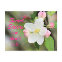Postal de la hermana secreta Apple Blossom - perso