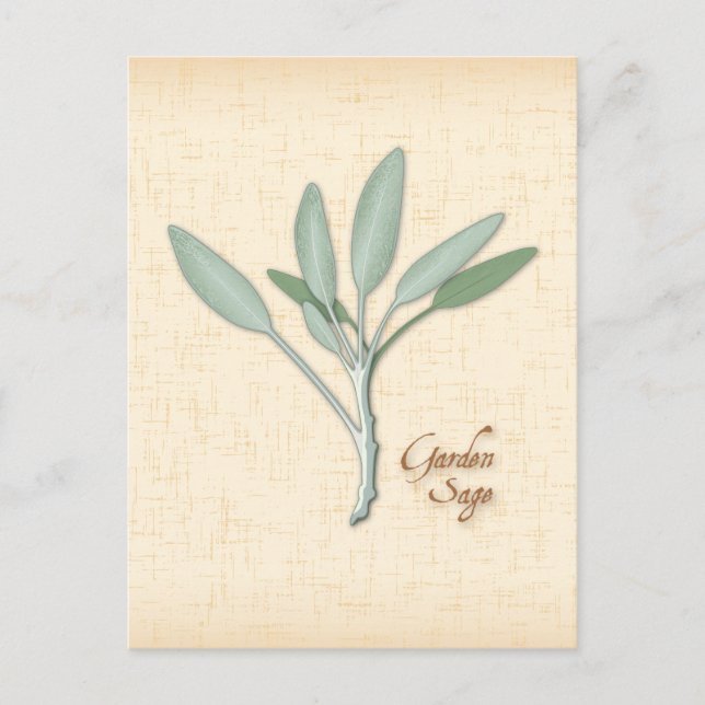 Postal de la hierba de personalizar Garden Sage (Anverso)
