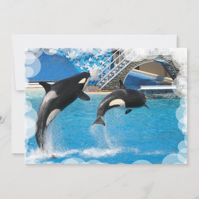 Postal de la invitación de la ballena (Anverso)