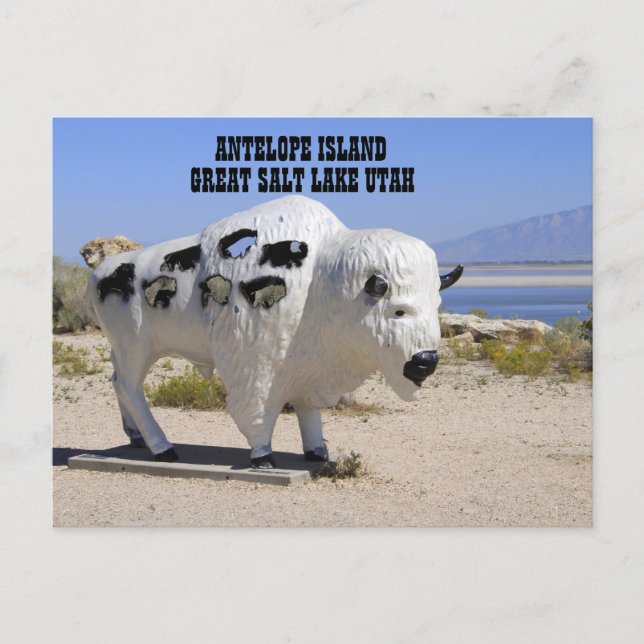 Postal de la isla Antelope Great Salt Lake Utah (Anverso)