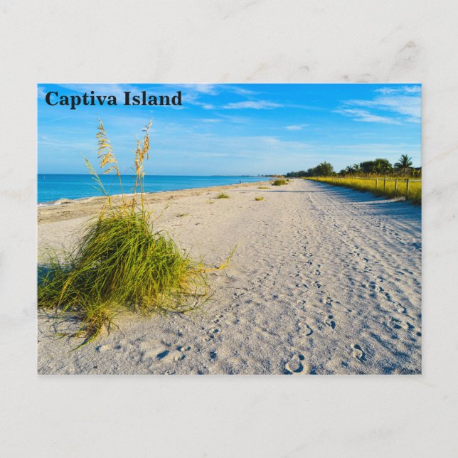 postal de la isla de Captiva (Anverso)