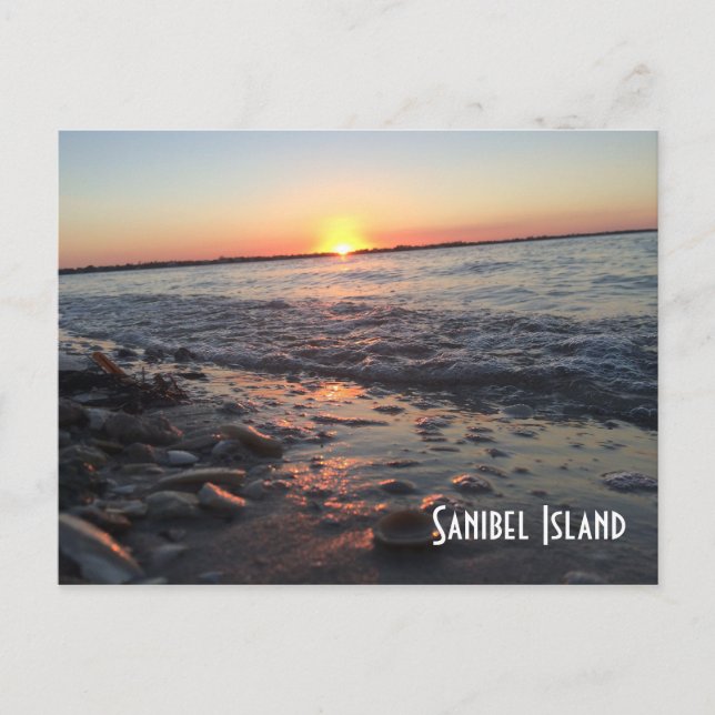 postal de la isla de Sanibel (Anverso)