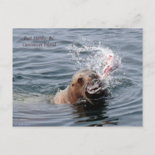 postal de la isla de Vancouver