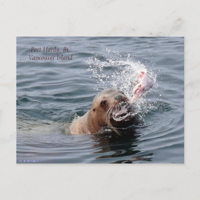 postal de la isla de Vancouver (Anverso)