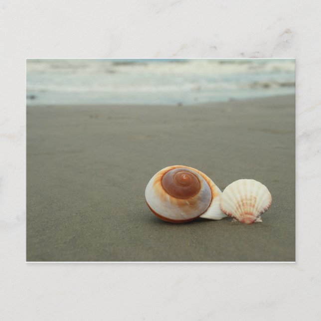 Postal de la isla Galveston (Anverso)