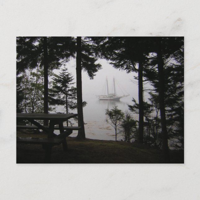 Postal de la isla Warren - 1 (Anverso)