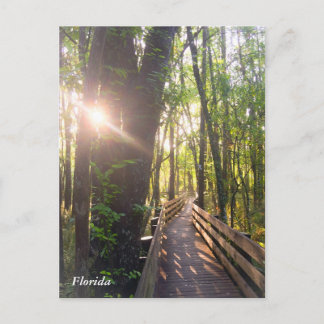 postal de la mañana del amanecer en Florida