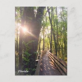 postal de la mañana del amanecer en Florida