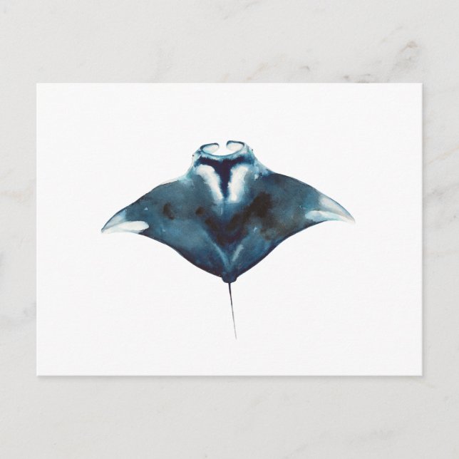 Postal de la mantarraya oceánica (Anverso)